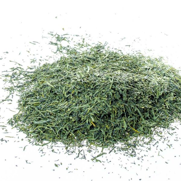 Grüntee Japan Sencha mit Matcha