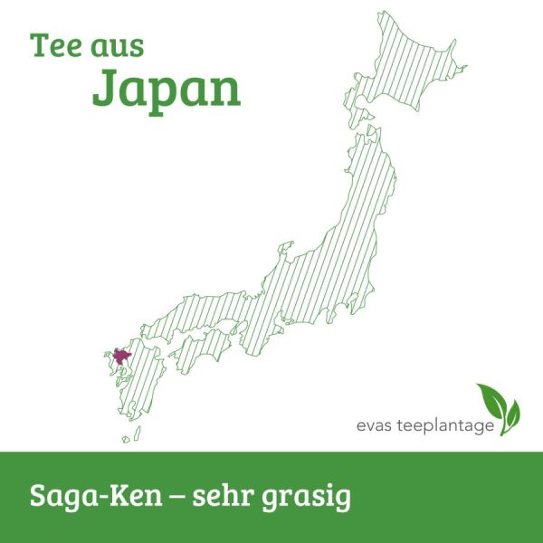 Grüntee aus Japan, Saga-Ken