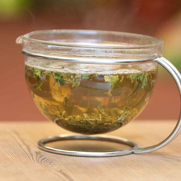 Grüntee seminar Matchaseminar, Teeseminar Schwarztee Nürnberg Erlangen Fürth