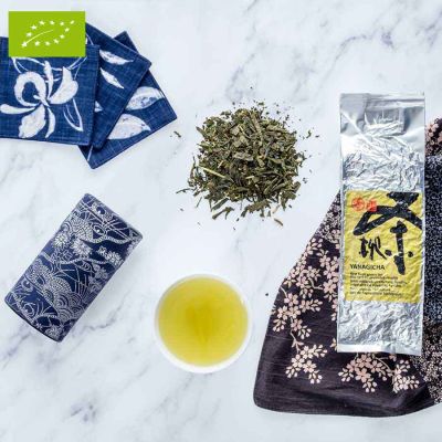 Grüner Tee Bancha Yanagicha (Bio)