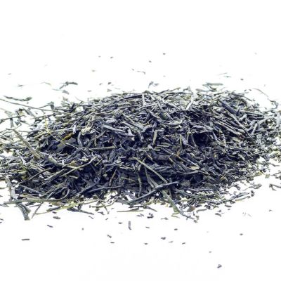 Sencha Hoshino No.1