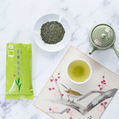 Sencha Hoshino No.1