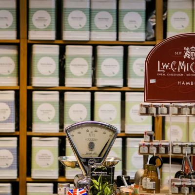 Grundlagenseminar Tee 29.01.2026