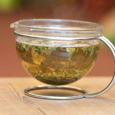 Fokusseminar Grüntee & Matcha 26.03.2026