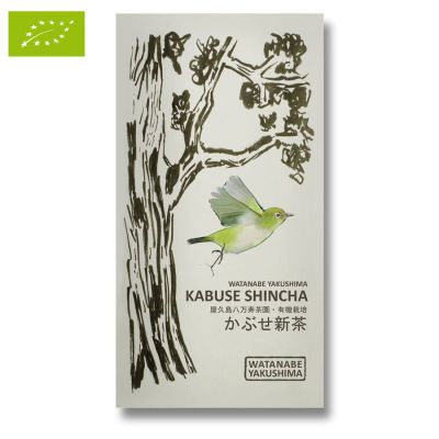 WATANABE KABUSE SHINCHA (Bio) 2025