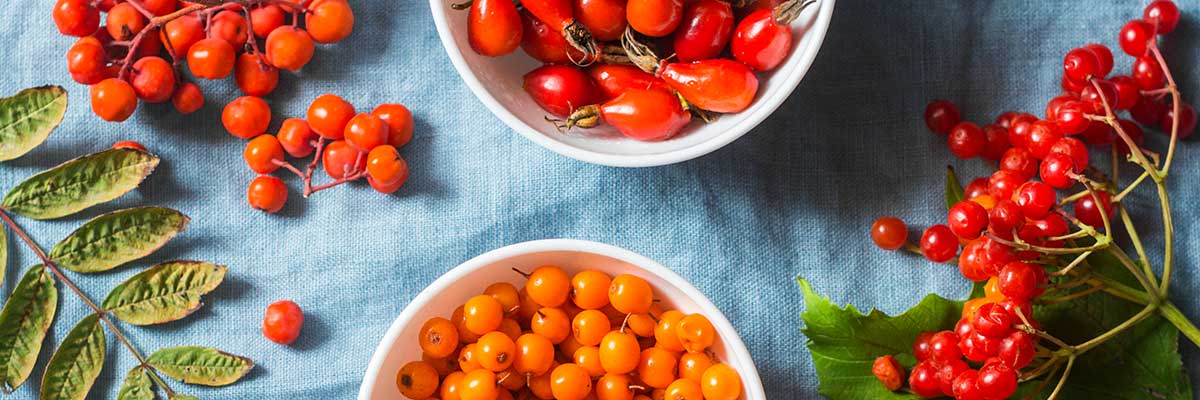 Früchtetee: mehr als lecker