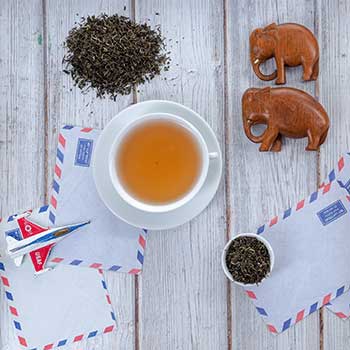Zu unseren feinen Flugteesorten aus Darjeeling und Nepal